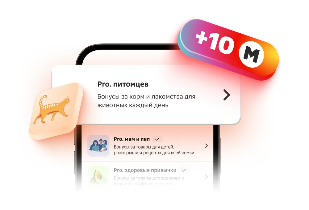 10 Магнитиков<br> за вступление