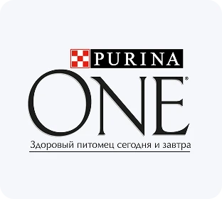 Пурина