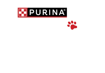 Феликс