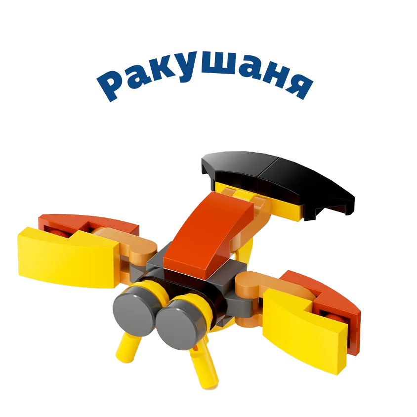Ракушаня
